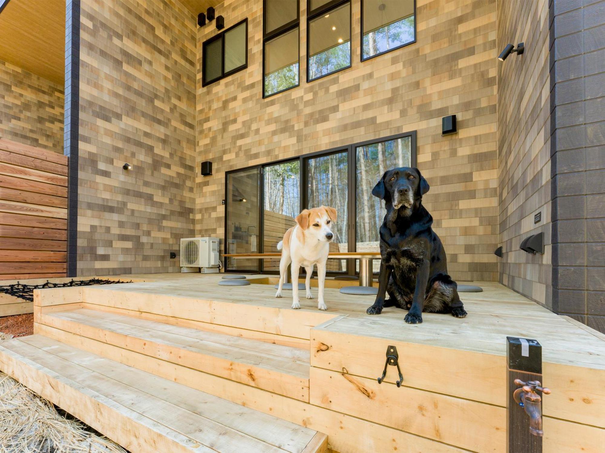 Rakuten Stay Villa Fujikawaguchiko Forest Ngoại thất bức ảnh