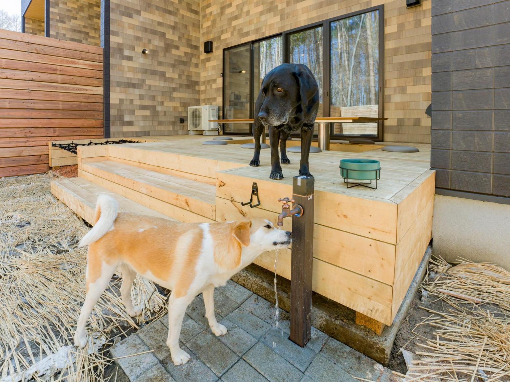 Rakuten Stay Villa Fujikawaguchiko Forest Ngoại thất bức ảnh
