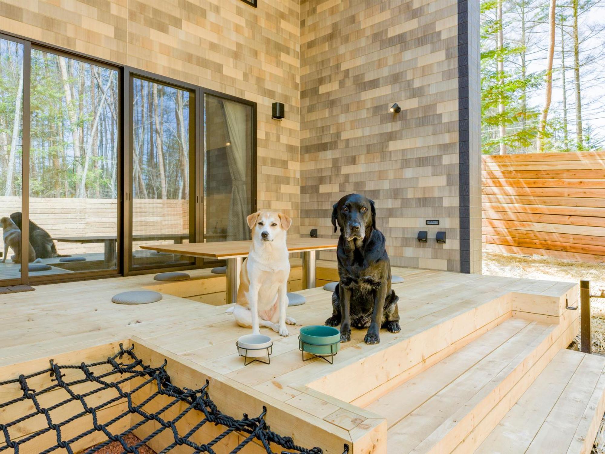 Rakuten Stay Villa Fujikawaguchiko Forest Ngoại thất bức ảnh